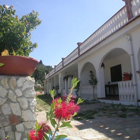B&B La Formichina Peschici Zewnętrze zdjęcie