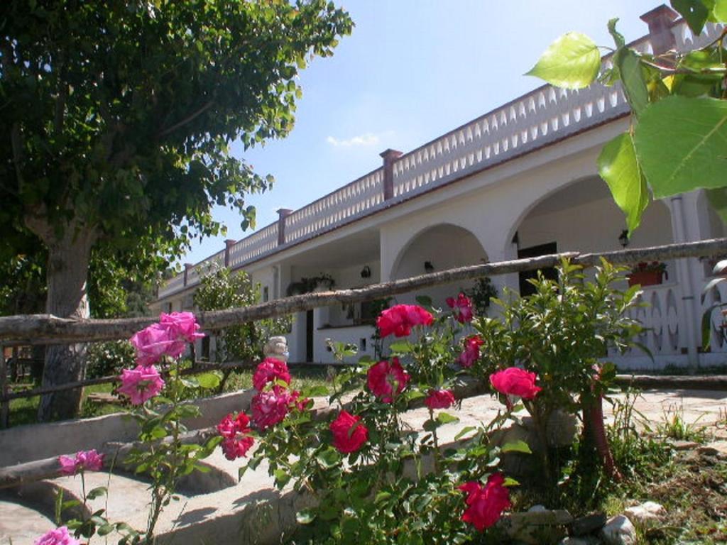 B&B La Formichina Peschici Zewnętrze zdjęcie
