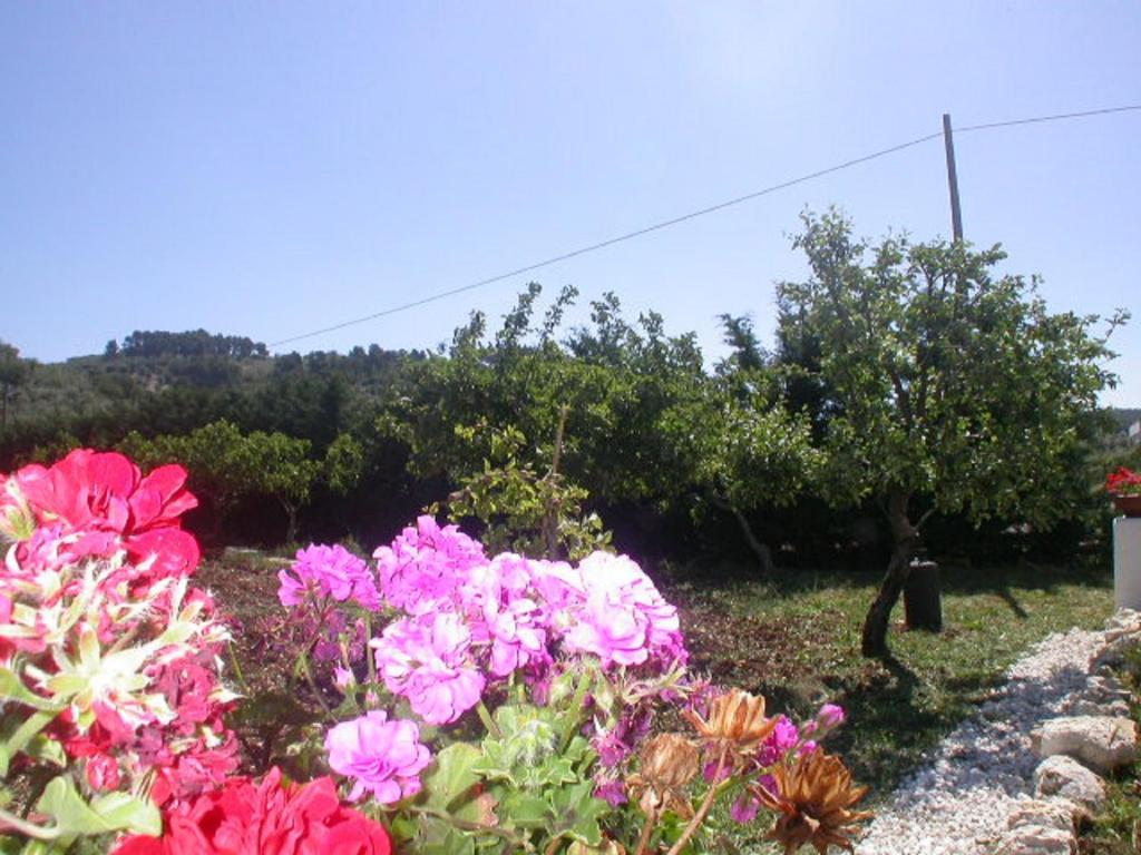 B&B La Formichina Peschici Zewnętrze zdjęcie